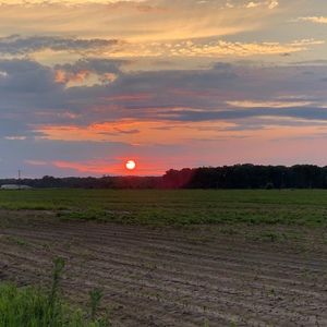 Meet your Posher, Britny